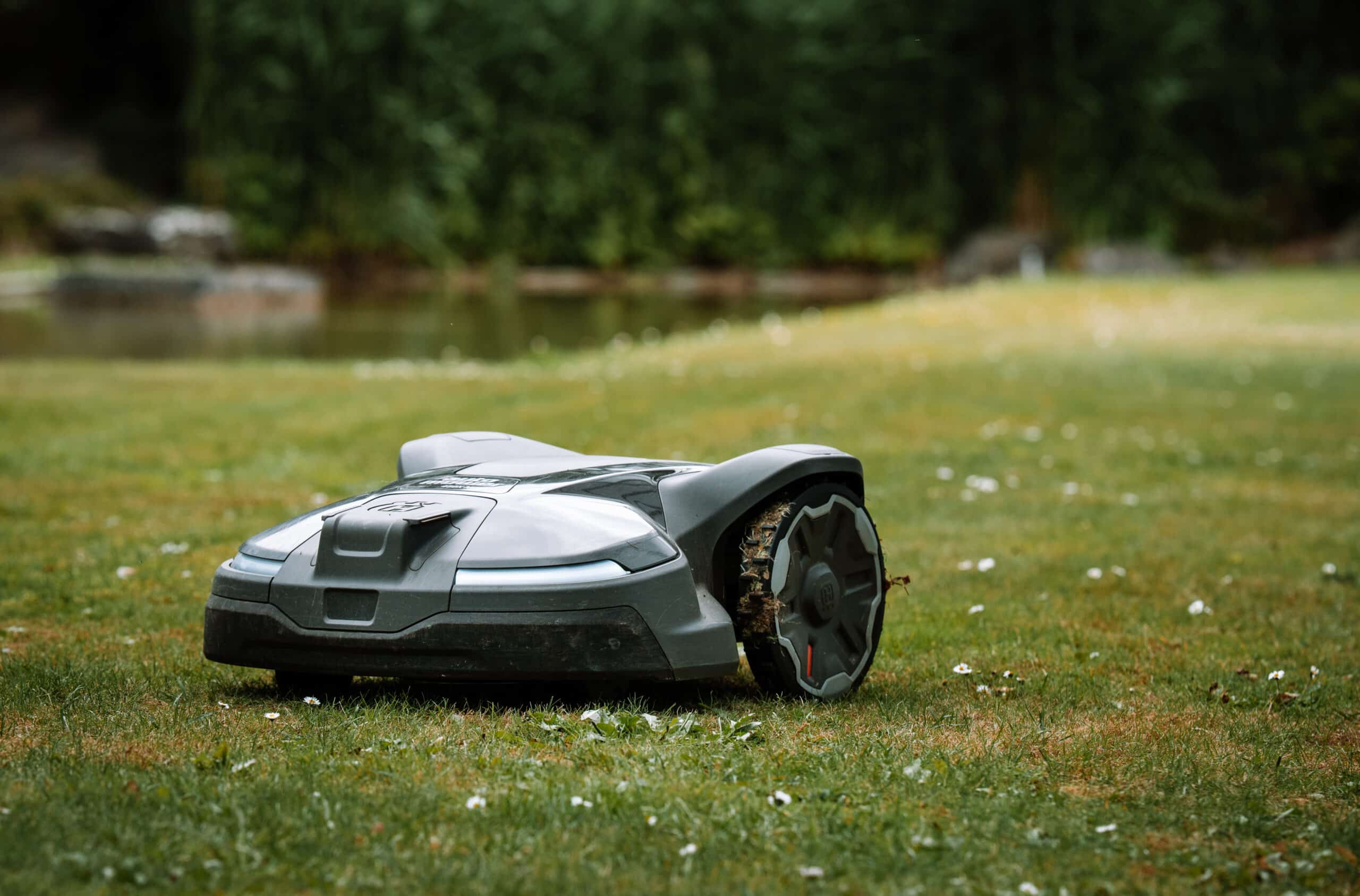tondeuse robot